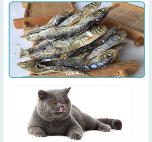 批发零售猫咪零食水晶香鱼 脱盐小鱼干宠物零食